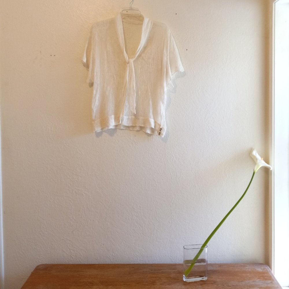 Ivory Chiffon Embroidered Tie Neck Blouse